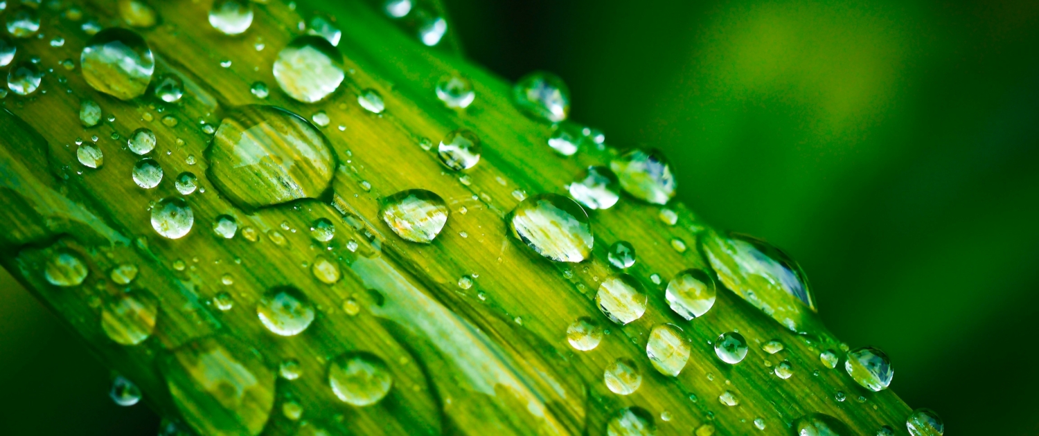 ELEMENT WATER