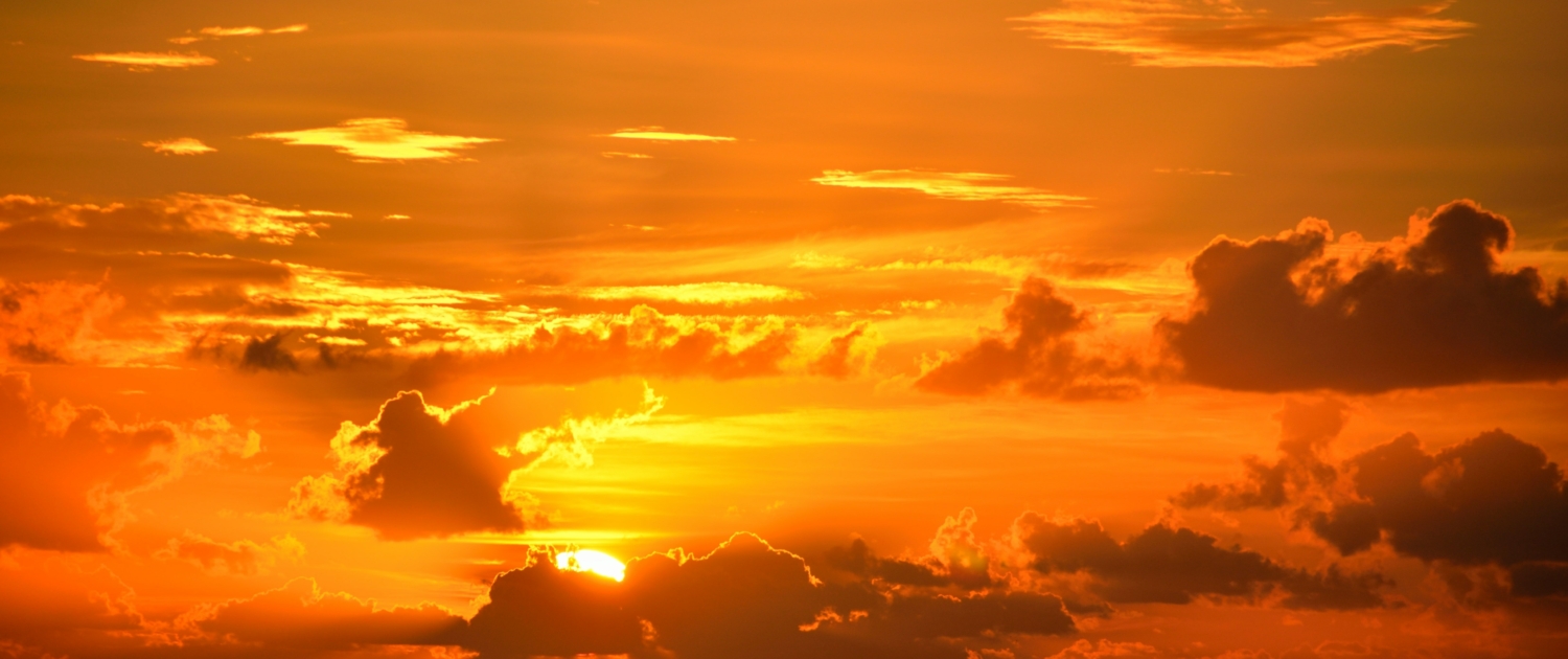 ELEMENT LUCHT ELEMENT LUCHT